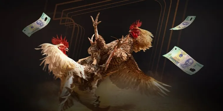 Hé Lộ Đấu Trường Đá Gà Rongho99 Trực Tiếp Thu Hút Hàng Triệu Kê Thủ